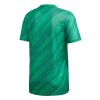 Tenue Irlande Du Nord Domicile UEFA Euro 2020 Maillot de Foot